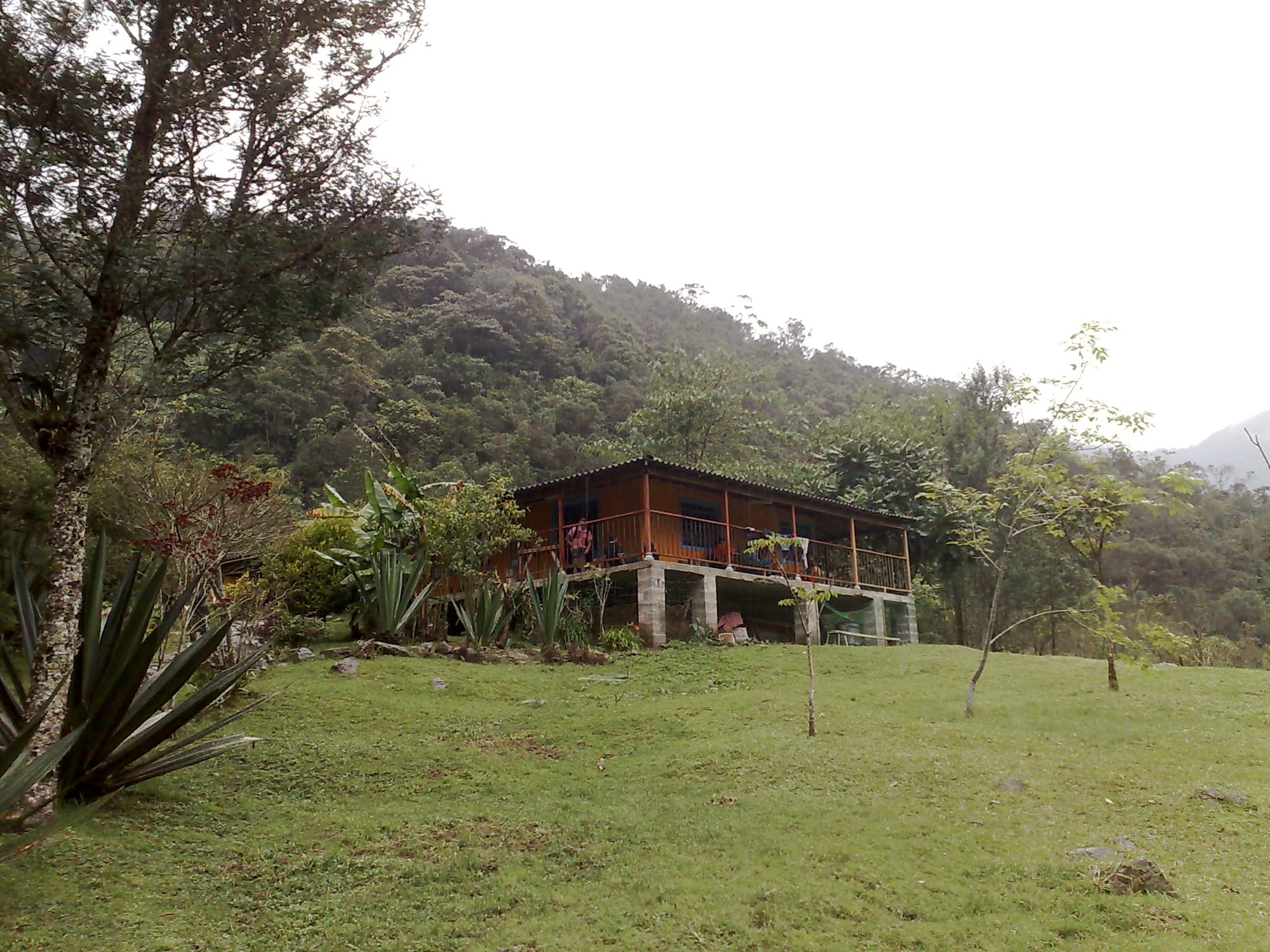 Bosque del Alto de San Miguel en Caldas