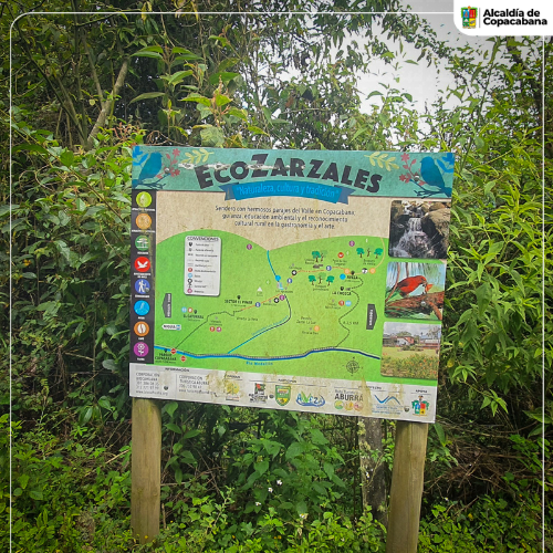 Sendero Ecozarzales en Copacabana