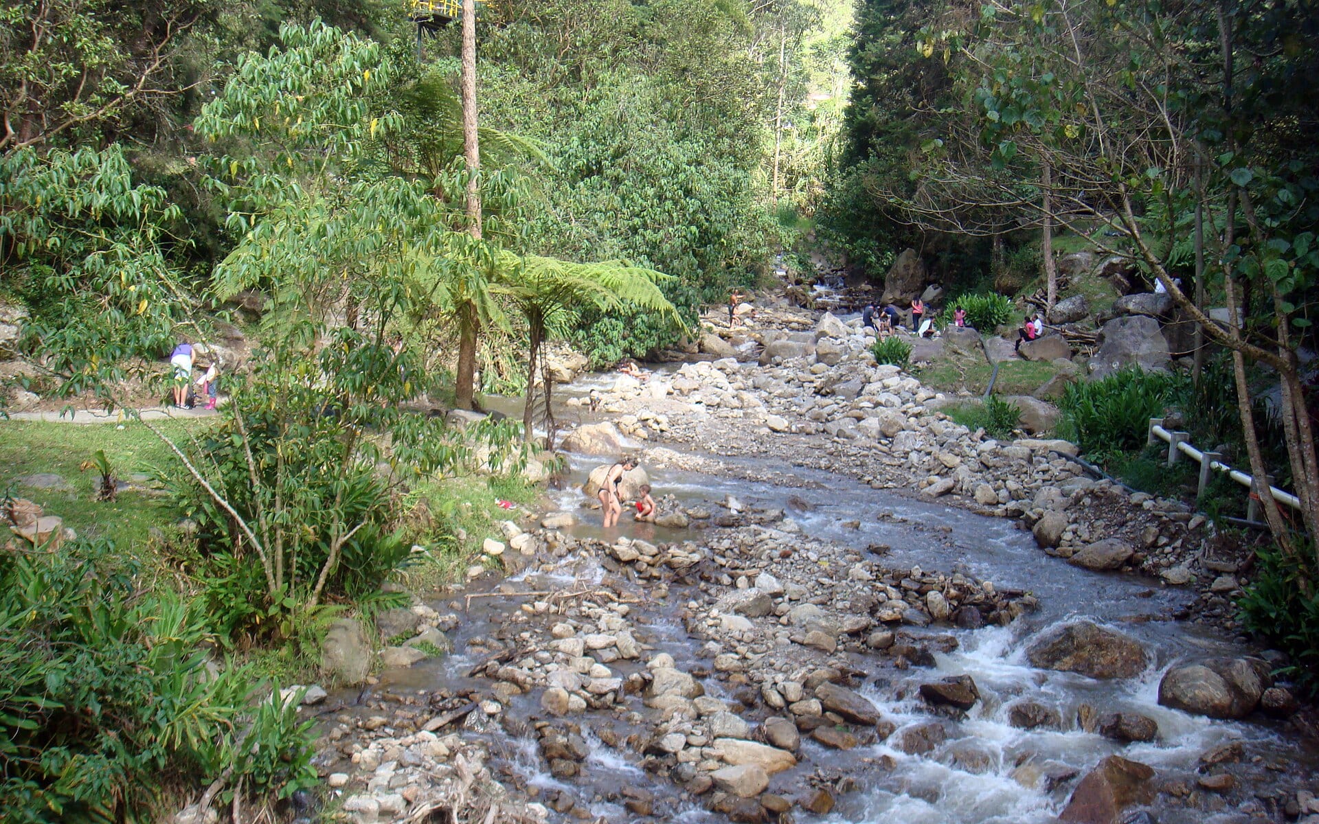 Sendero natural del Parque El Salado en Envigado