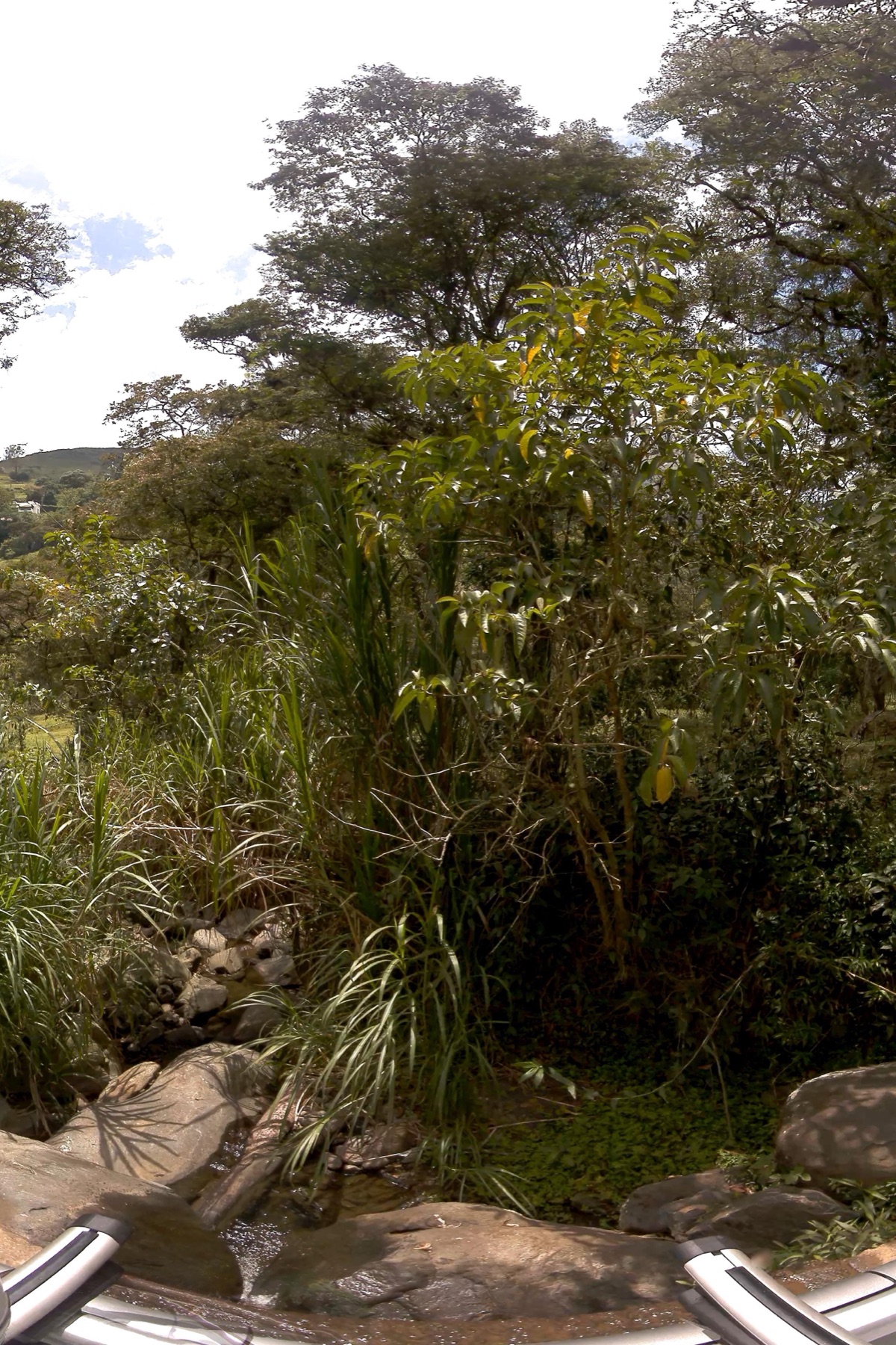 Sendero y quebrada Piedras Blancas